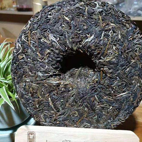 勐库茶到底是个啥味道？